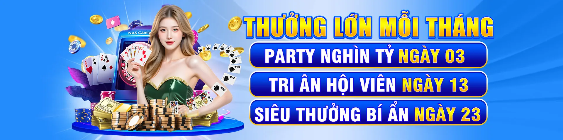 Hình ảnh chính trang đăng nhập vinvip